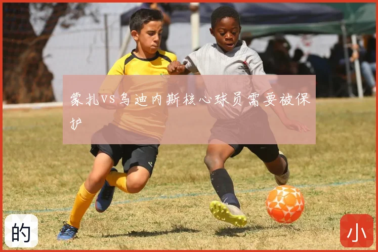 蒙扎vs乌迪内斯核心球员需要被保护